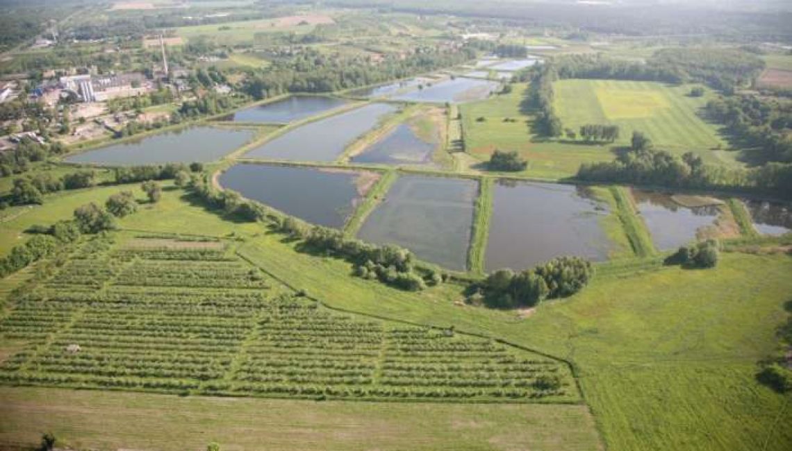 Tarczyn pod znakiem inwestycji