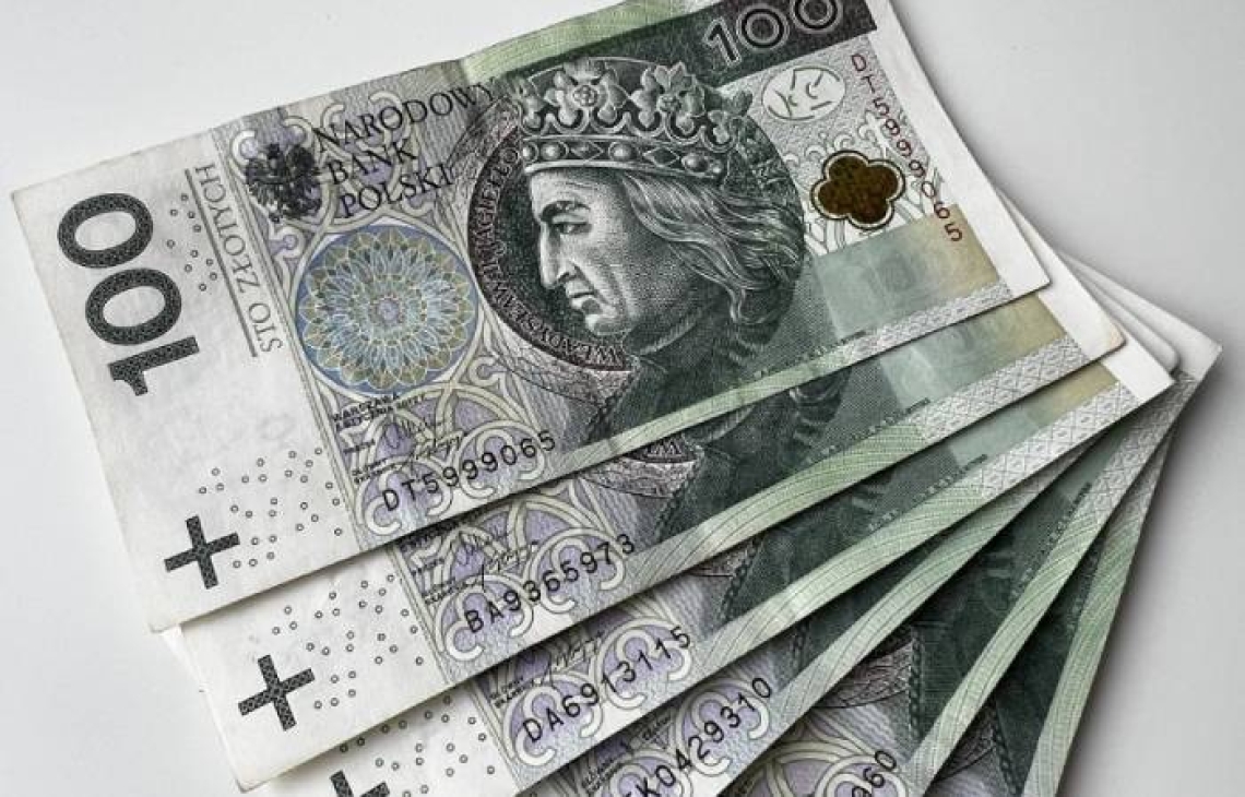 Prognoza dla złotego na 2024 rok
