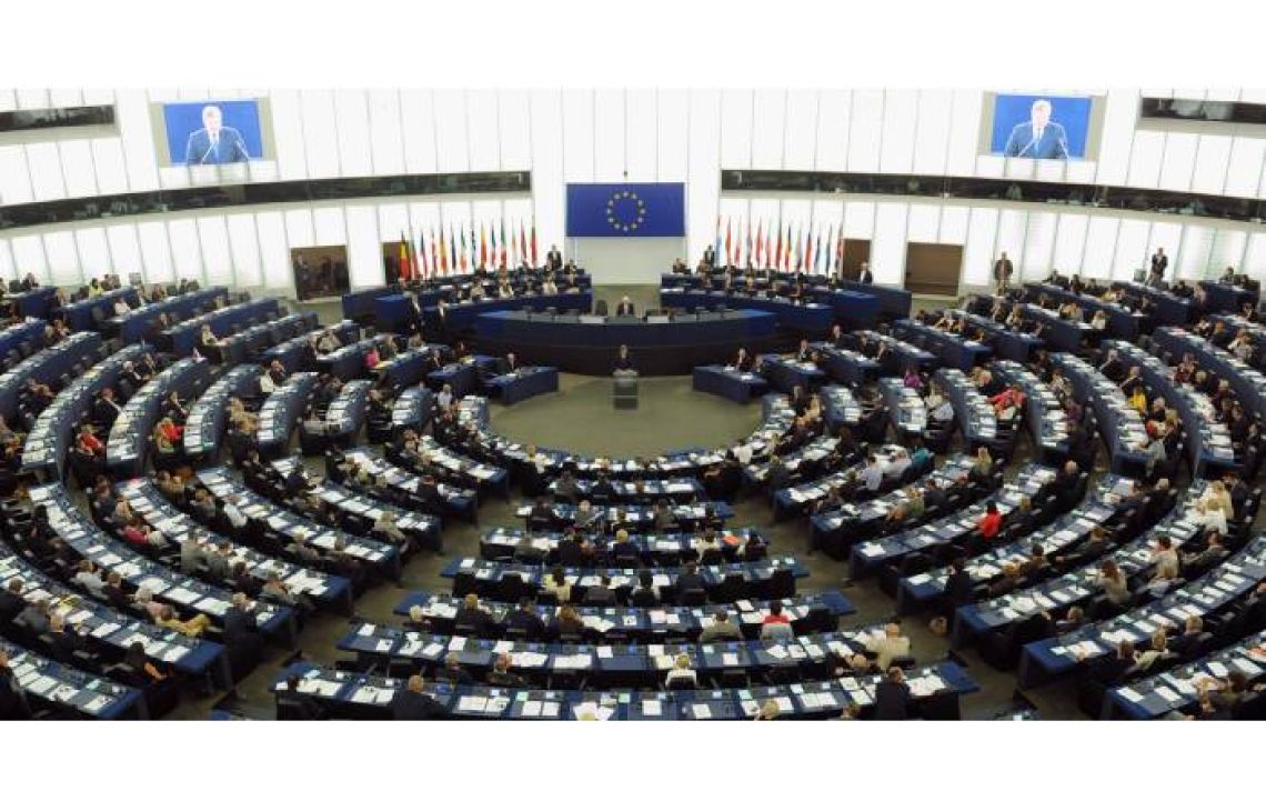  Co może europoseł?