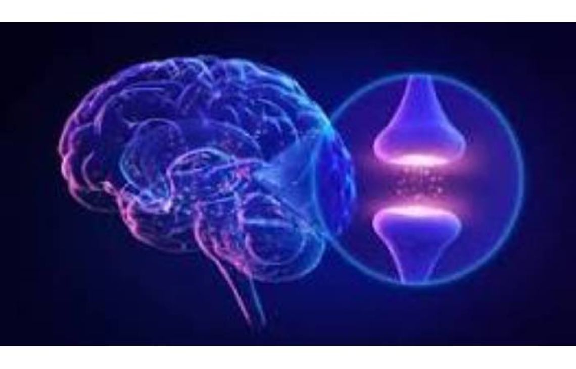  Jakość, dostępność, profesjonalizm  Polski lider efektywnej diagnostyki neurologicznej