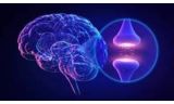 Jakość, dostępność, profesjonalizm  Polski lider efektywnej diagnostyki neurologicznej