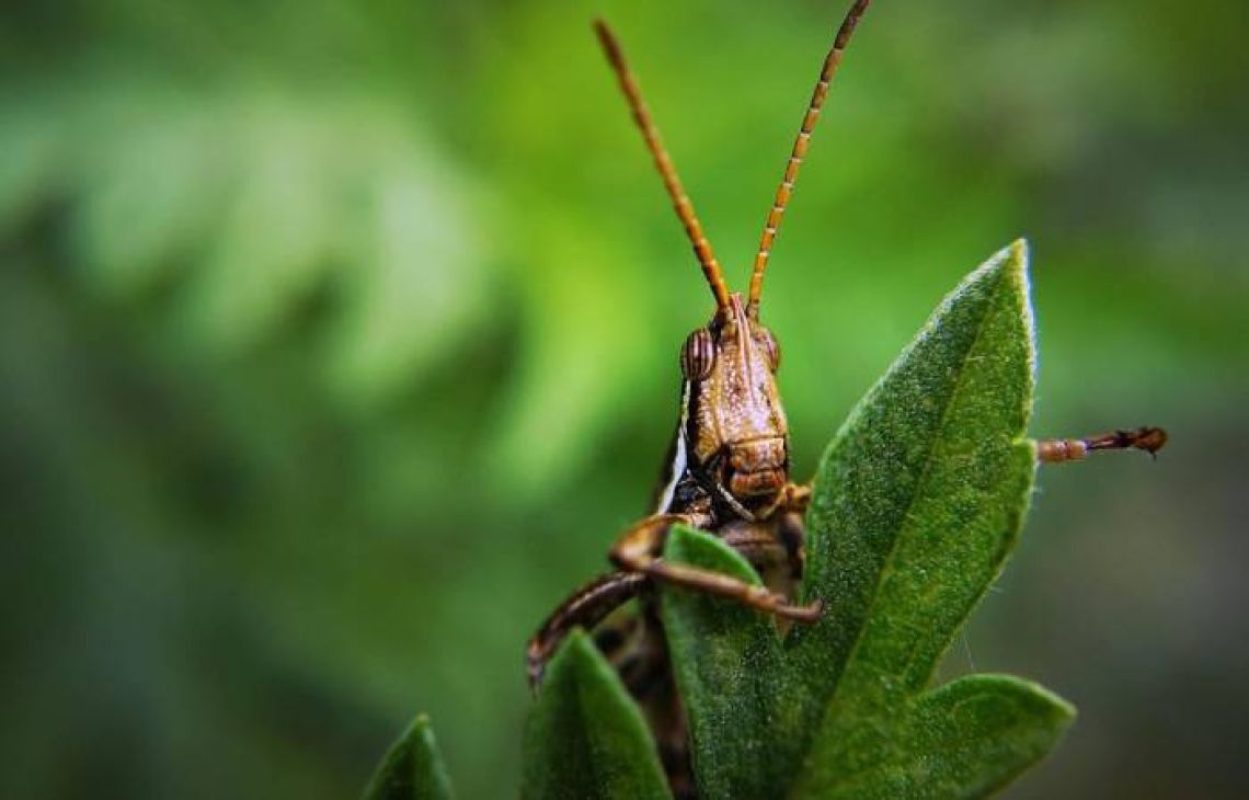 W Brukseli narastają spory wokół opłat od emisji CO2 