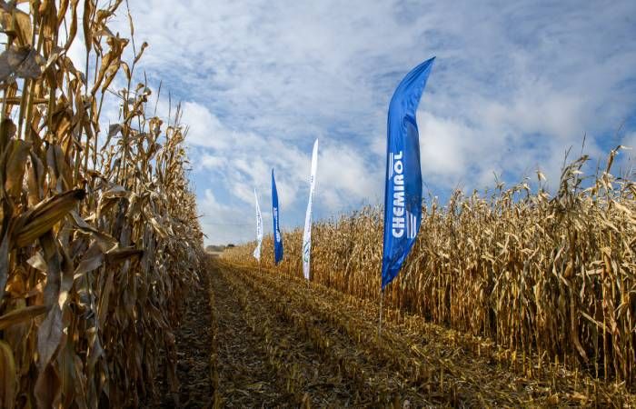 Zysk, wiedza i bezpieczeństwo: Strategiczne wsparcie w programie „Idę po Rekord”