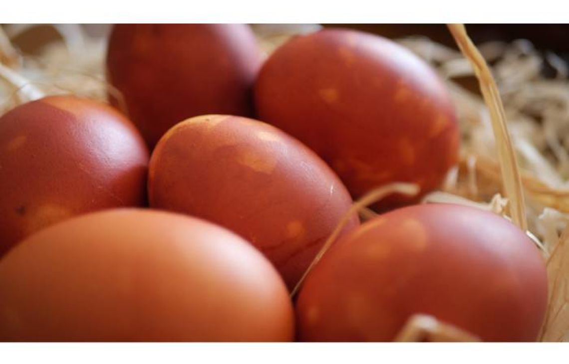 Święta pod kontrolą budżetów.  W tym roku wydajemy ostrożnie, ale bez większych cięć